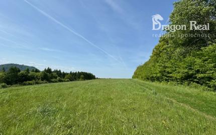 PREDAJ – Pozemok 9486 m2 Kanaš – Veľký Šariš