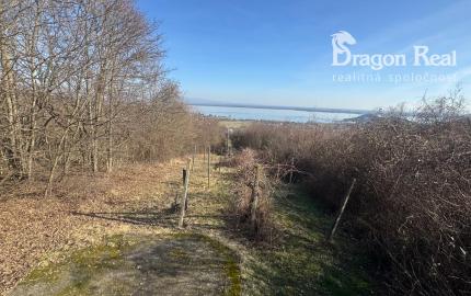 PREDAJ – Rodinná chata s 2 samostatnými jednotkami – ZEMPLÍNSKA ŠÍRAVA – Kaluža