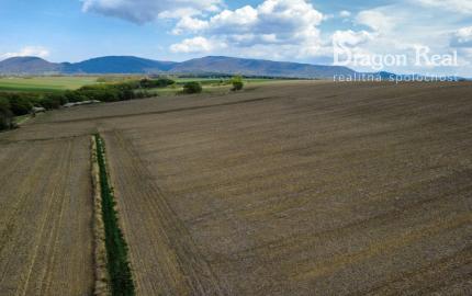 PREDAJ - Investičný pozemok o rozlohe 3909m2 - ĽUBOTICE