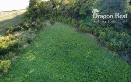 PREDAJ - Pozemok vhodný na výstavbu RD - ŽUPČANY okr.Prešov