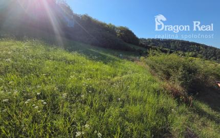 PREDAJ - Pozemok vhodný na výstavbu RD - ŽUPČANY okr.Prešov
