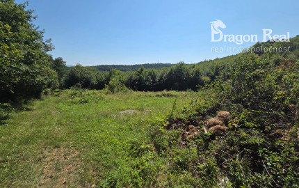 PREDAJ - Rekreačný pozemok 6694m2 - FINTICE