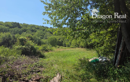 PREDAJ - Rekreačný pozemok 6694m2 - FINTICE