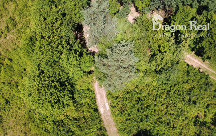 PREDAJ - Rekreačný pozemok na rekreačnú chatu 5963 m2 - FINTICE