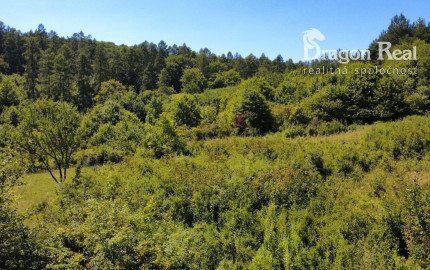 PREDAJ - Rekreačný pozemok na rekreačnú chatu 5963 m2 - FINTICE
