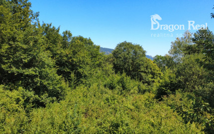 PREDAJ - Rekreačný pozemok na rekreačnú chatu 5963 m2 - FINTICE