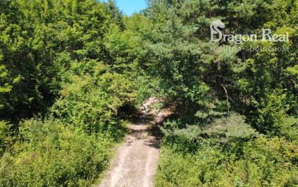 PREDAJ - Rekreačný pozemok na rekreačnú chatu 5963 m2 - FINTICE