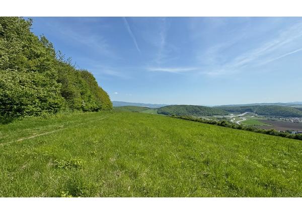 PREDAJ – Pozemok 9486 m2 Kanaš – Veľký Šariš