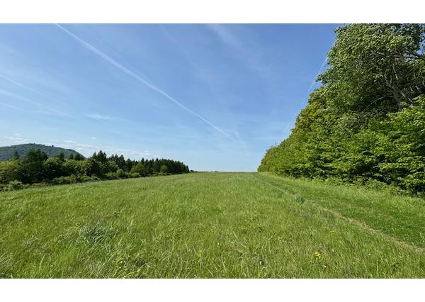 PREDAJ – Pozemok 9486 m2 Kanaš – Veľký Šariš