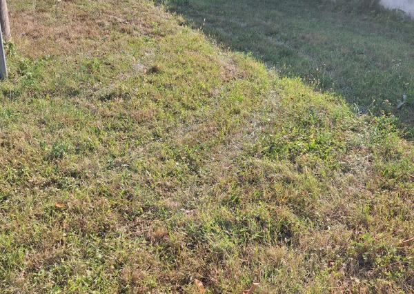 PREDAJ – Pozemok s rozlohou 481m2 – SOBRANCE