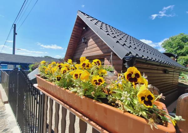 PREDAJ – Rodinný dom s garážou a altánkom – ČERVENÁ VODA okr. Sabinov