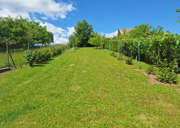 PREDAJ – Rodinný dom s garážou a altánkom – ČERVENÁ VODA okr. Sabinov