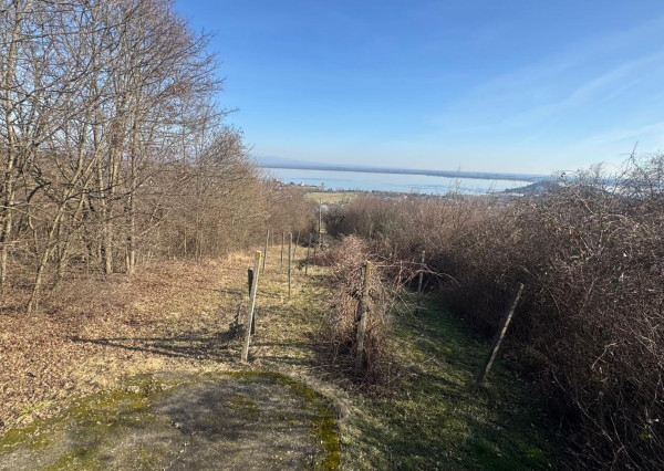 PREDAJ – Rodinná chata s 2 samostatnými jednotkami – ZEMPLÍNSKA ŠÍRAVA – Kaluža