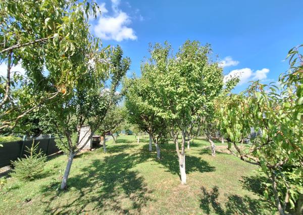 PREDAJ – Pozemok vhodný na výstavbu o rozlohe 822m2 – MICHALOVCE