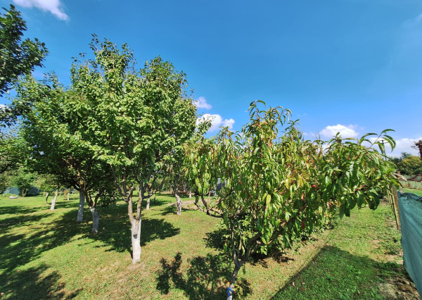 PREDAJ – Pozemok vhodný na výstavbu o rozlohe 822m2 – MICHALOVCE