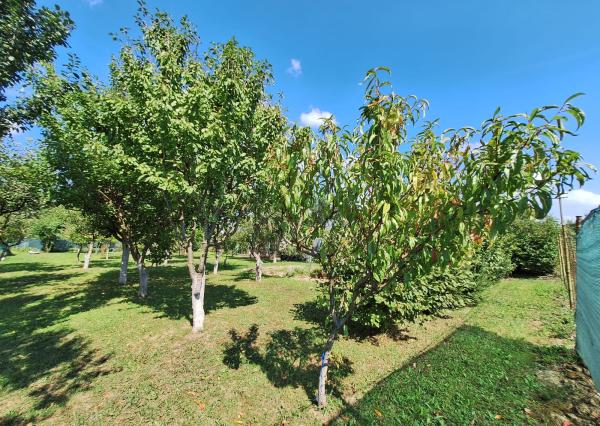 PREDAJ – Pozemok vhodný na výstavbu o rozlohe 822m2 – MICHALOVCE