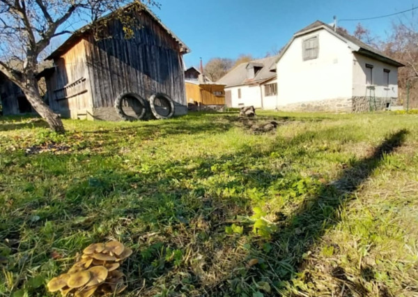 PREDAJ – Rodinný dom pri lese a prírode – REMETSKÉ HÁMRE okr.Sobrance