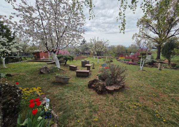 PREDAJ - Drevená chata s krásnou záhradou - MOLDAVA NAD BODVOU