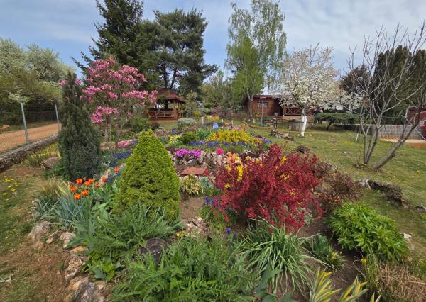 PREDAJ - Drevená chata s krásnou záhradou - MOLDAVA NAD BODVOU