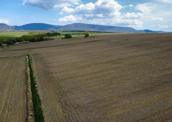 PREDAJ - Investičný pozemok o rozlohe 3909m2 - ĽUBOTICE