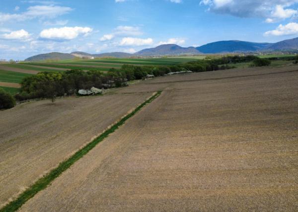 PREDAJ - Investičný pozemok o rozlohe 3909m2 - ĽUBOTICE