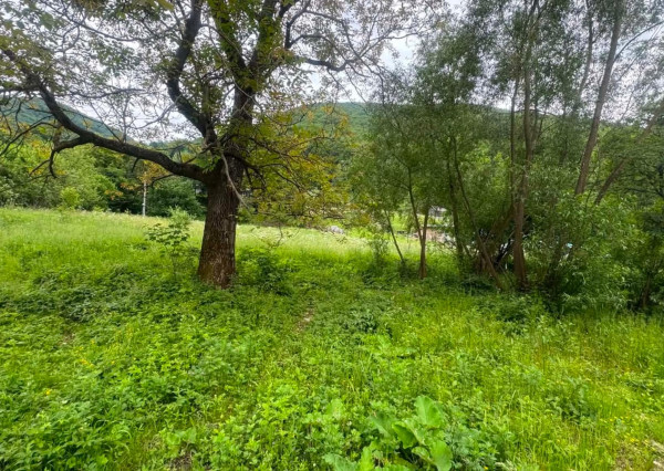 PREDAJ - Pozemok vhodný na výstavbu RD-OLEJNÍKOV okr.Sabinov