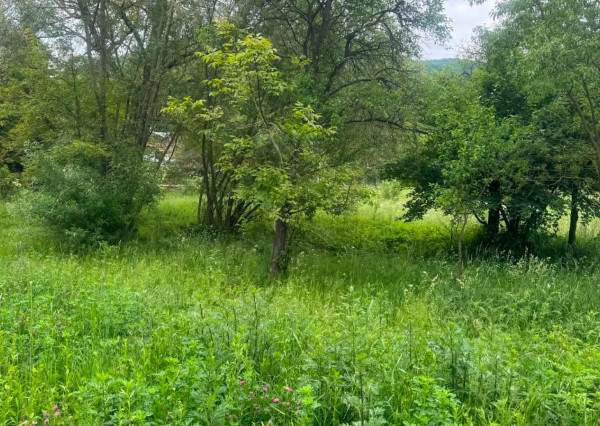 PREDAJ - Pozemok vhodný na výstavbu RD-OLEJNÍKOV okr.Sabinov