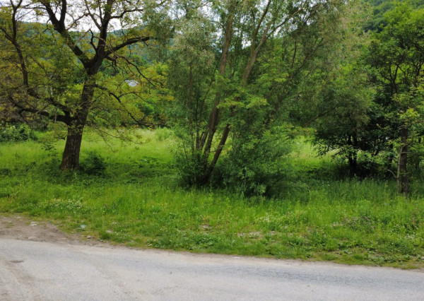 PREDAJ - Pozemok vhodný na výstavbu RD-OLEJNÍKOV okr.Sabinov