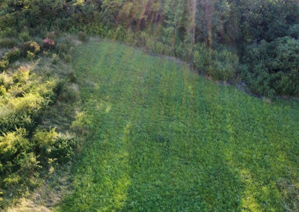 PREDAJ - Pozemok vhodný na výstavbu RD - ŽUPČANY okr.Prešov
