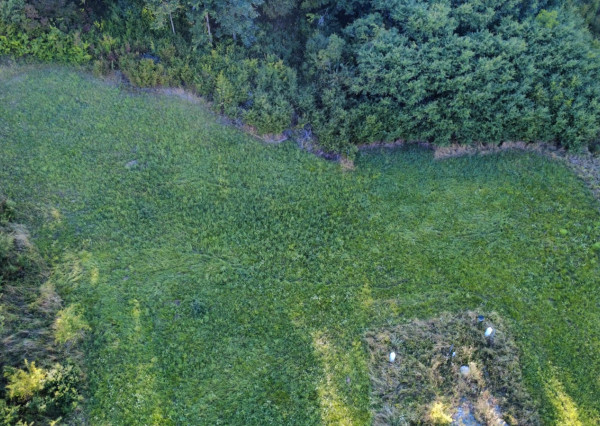 PREDAJ - Pozemok vhodný na výstavbu RD - ŽUPČANY okr.Prešov