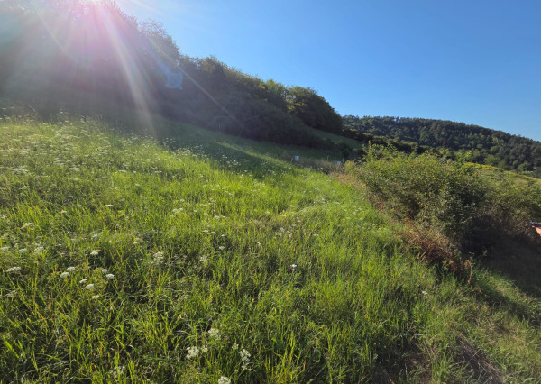 PREDAJ - Pozemok vhodný na výstavbu RD - ŽUPČANY okr.Prešov