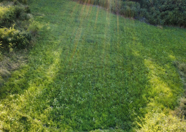 PREDAJ - Pozemok vhodný na výstavbu RD - ŽUPČANY okr.Prešov