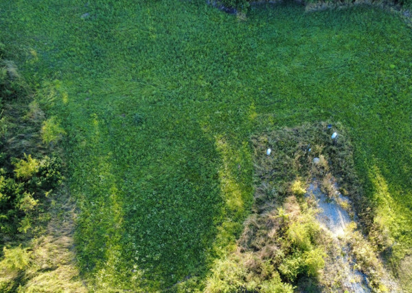 PREDAJ - Pozemok vhodný na výstavbu RD - ŽUPČANY okr.Prešov