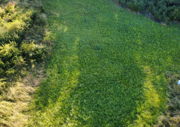 PREDAJ - Pozemok vhodný na výstavbu RD - ŽUPČANY okr.Prešov