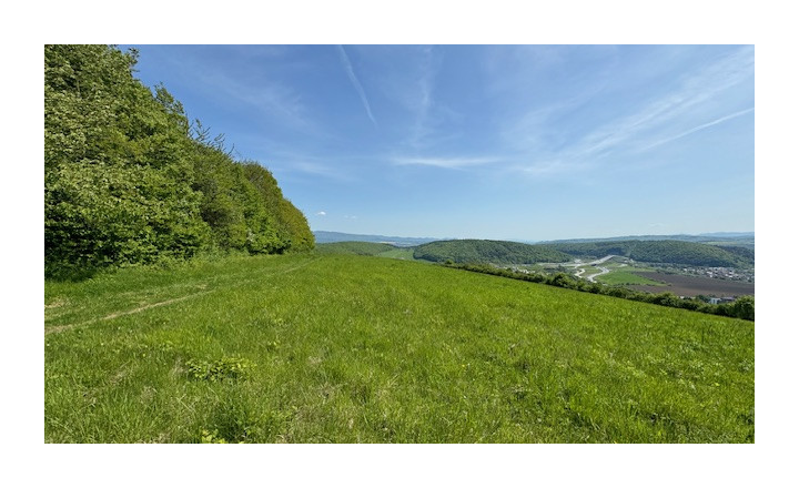 PREDAJ – Pozemok 9486 m2 Kanaš – Veľký Šariš - fotografia 5