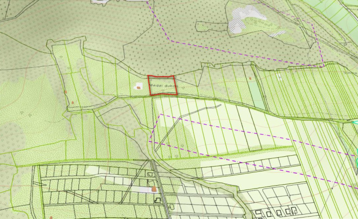 PREDAJ – Pozemok vhodný na rekreáciu o rozlohe 1735 m2 – Fintice - fotografia 1