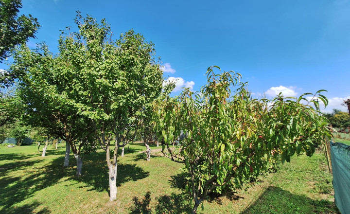 PREDAJ – Pozemok vhodný na výstavbu o rozlohe 822m2 – MICHALOVCE - fotografia 1