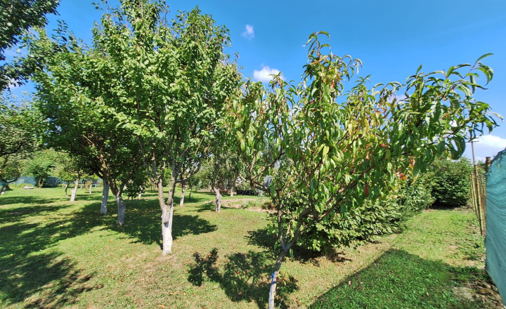 PREDAJ – Pozemok vhodný na výstavbu o rozlohe 822m2 – MICHALOVCE - fotografia 7