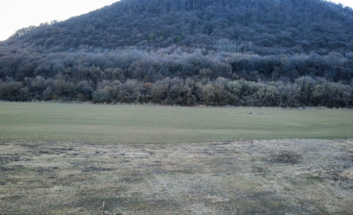 PREDAJ – Investičný pozemok o rozlohe 2768 m2- VEĽKÝ ŠARIŠ časť BARATOKY - fotografia 1