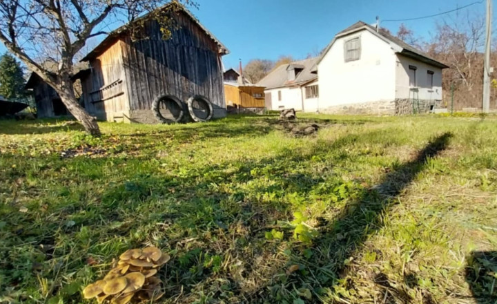 PREDAJ – Rodinný dom pri lese a prírode – REMETSKÉ HÁMRE okr.Sobrance - fotografia 4