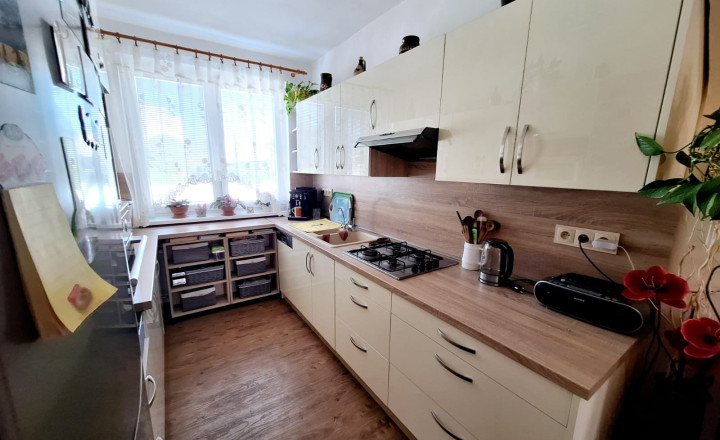 PREDAJ – Rodinný dom so záhradou a terasou – ĽUBOTICE - fotografia 9
