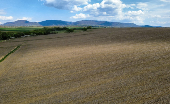 PREDAJ - Investičný pozemok o rozlohe 3909m2 - ĽUBOTICE - fotografia 3