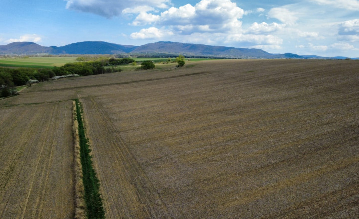 PREDAJ - Investičný pozemok o rozlohe 3909m2 - ĽUBOTICE - fotografia 5
