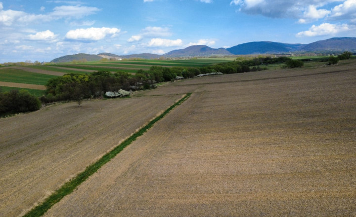 PREDAJ - Investičný pozemok o rozlohe 3909m2 - ĽUBOTICE - fotografia 6