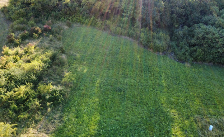 PREDAJ - Pozemok vhodný na výstavbu RD - ŽUPČANY okr.Prešov - fotografia 3