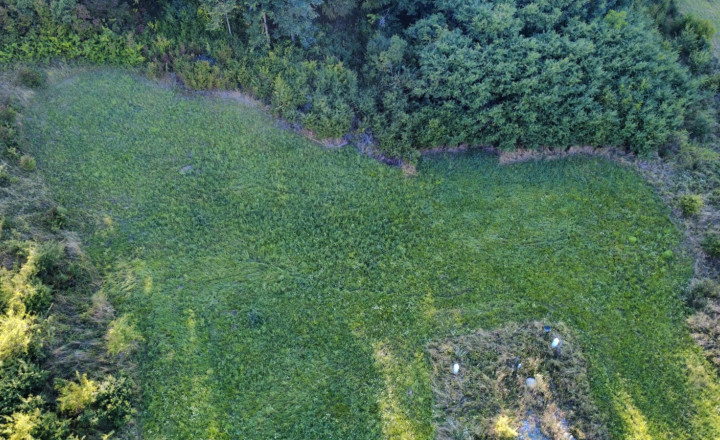 PREDAJ - Pozemok vhodný na výstavbu RD - ŽUPČANY okr.Prešov - fotografia 2
