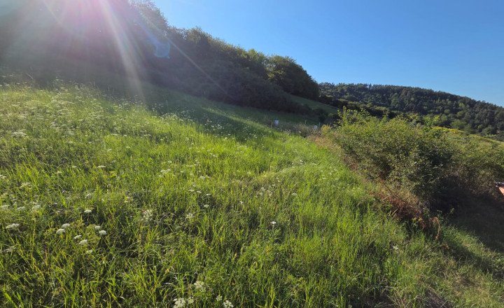 PREDAJ - Pozemok vhodný na výstavbu RD - ŽUPČANY okr.Prešov - fotografia 5