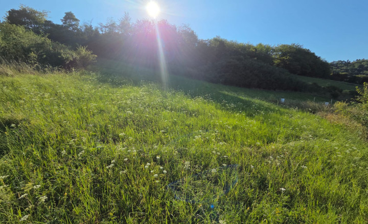 PREDAJ - Pozemok vhodný na výstavbu RD - ŽUPČANY okr.Prešov - fotografia 6