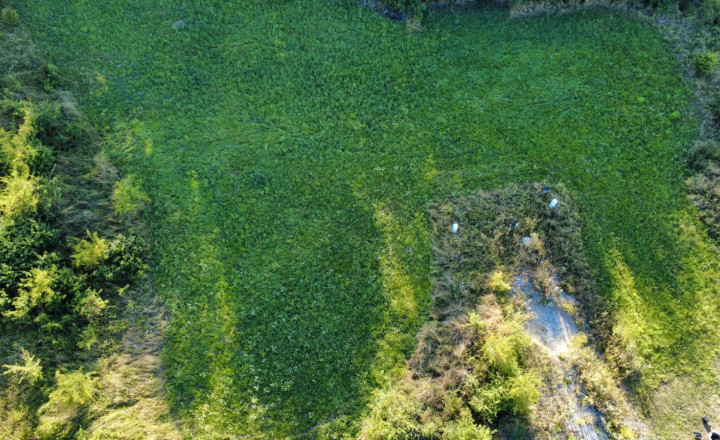 PREDAJ - Pozemok vhodný na výstavbu RD - ŽUPČANY okr.Prešov - fotografia 8