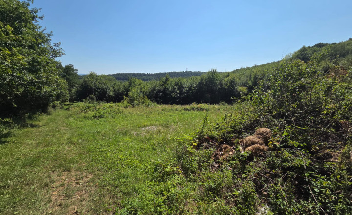 PREDAJ - Rekreačný pozemok 6694m2 - FINTICE - fotografia 3